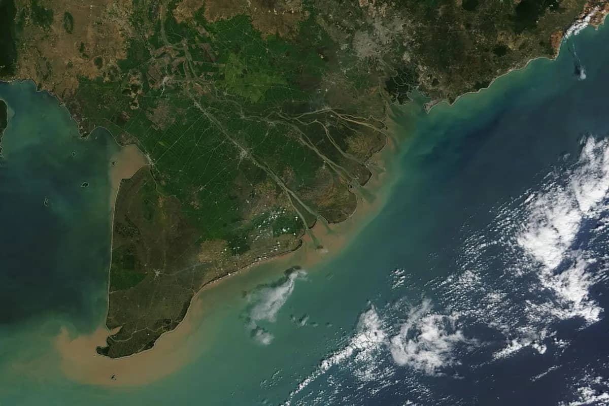 The Mekong Delta seen from space, with the river's channels running into the sea