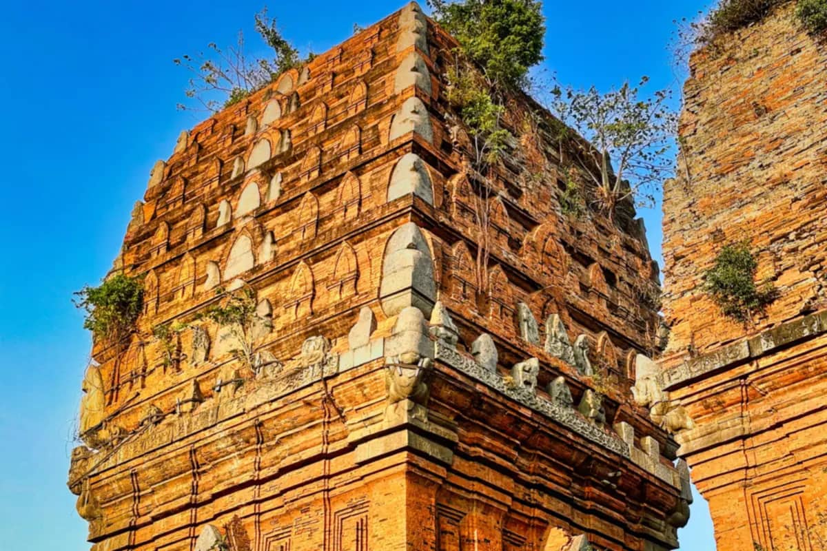 The upper tiers of one of the brick Cham Twin Towers in Quy Nhon against a deep blue sky, plants growing from the top