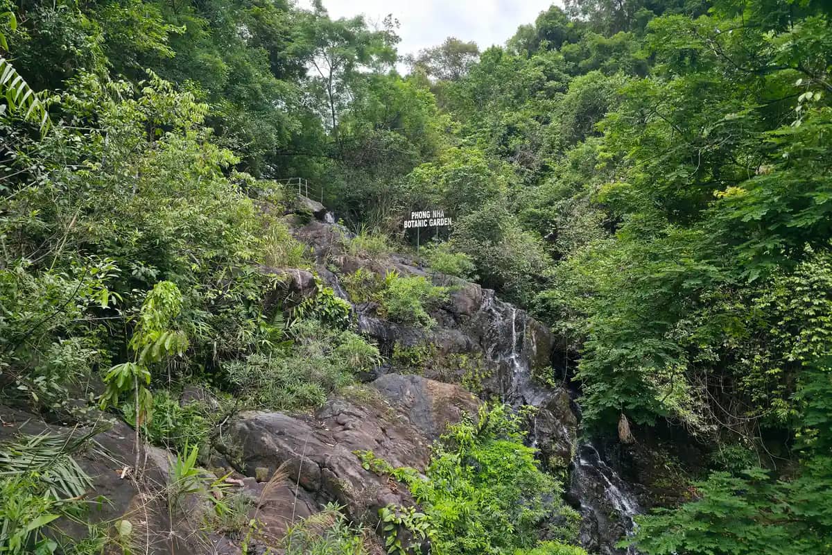 A small waterfall over dark rocks in thick forest, a Phong Nha Botanic Garden sign above it