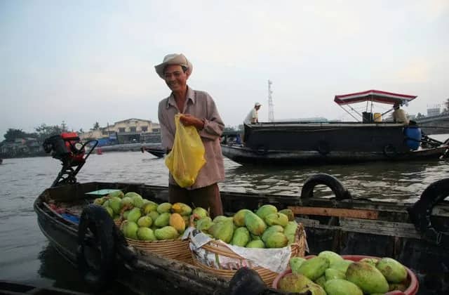 A smiling vendor in a straw hat sells green mangoes from his boat at a Can Tho floating market