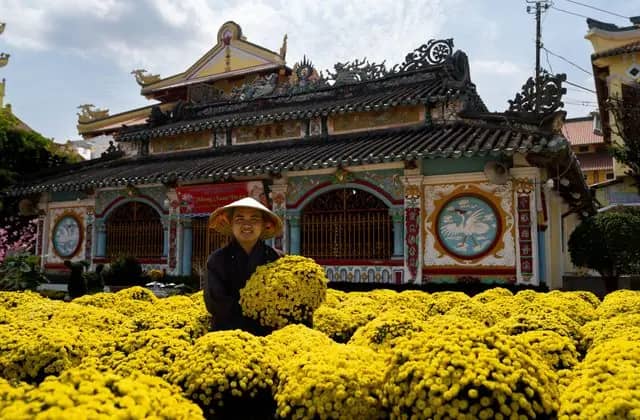 A person in a conical hat with pots of yellow chrysanthemums in front of an ornate old temple in Sa Dec