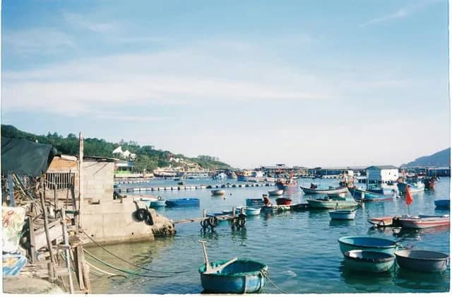 Colourful fishing boats moored in a calm bay near Nha Trang