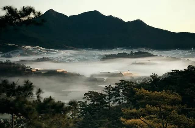 A misty valley between mountains and pine forest near Da Lat