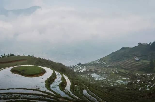 Rice terraces carved into misty green mountains at Mu Cang Chai