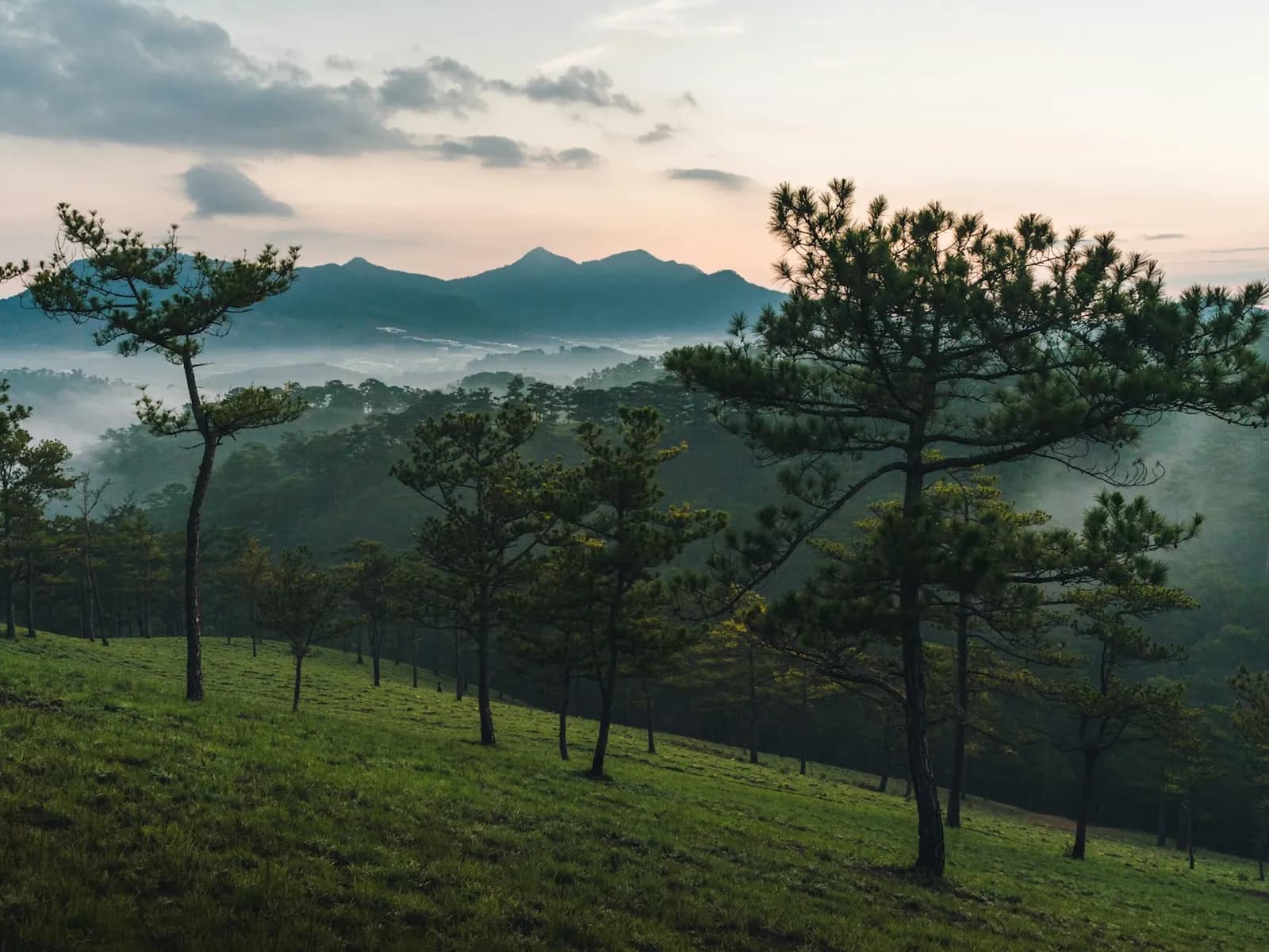 Preview: Da Lat in the dry season: December to March in numbers (Guides)