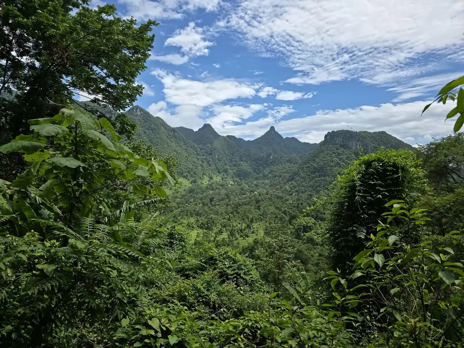Forested limestone peaks under a blue, cloud-streaked sky, seen from the jungle path to Paradise Cave