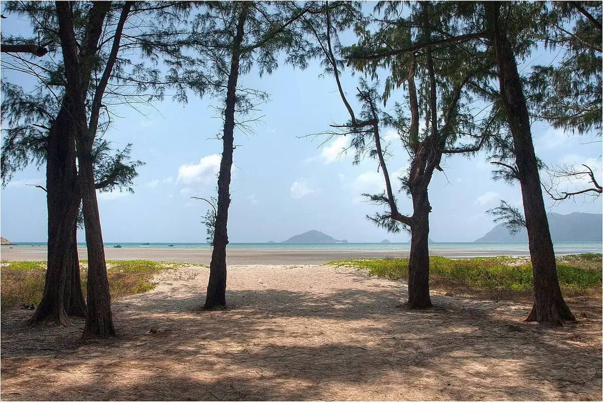 Casuarina trees on the sand at Lo Voi beach, islands across the bay