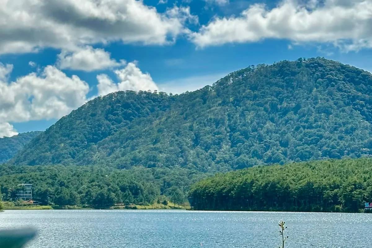 Tuyen Lam Lake below hills covered in pine forest