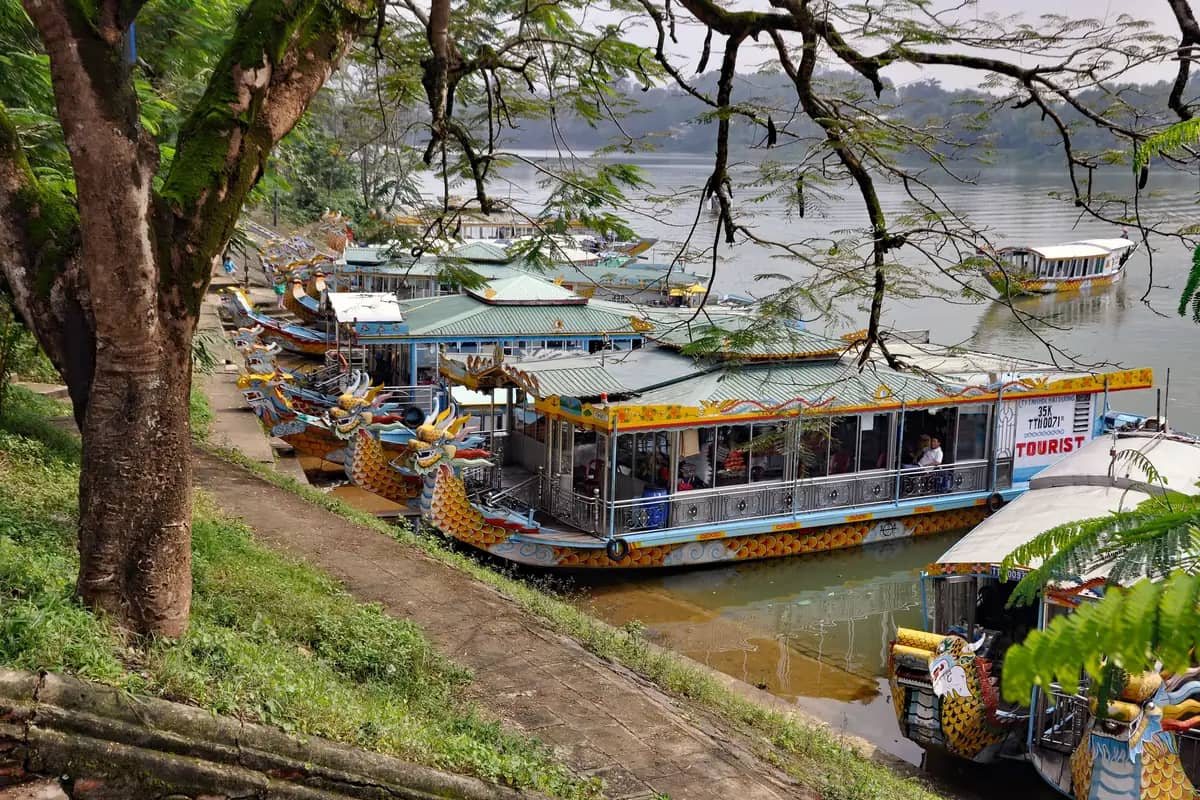 Dragon boats moored under trees on the bank of the Perfume River in Hue