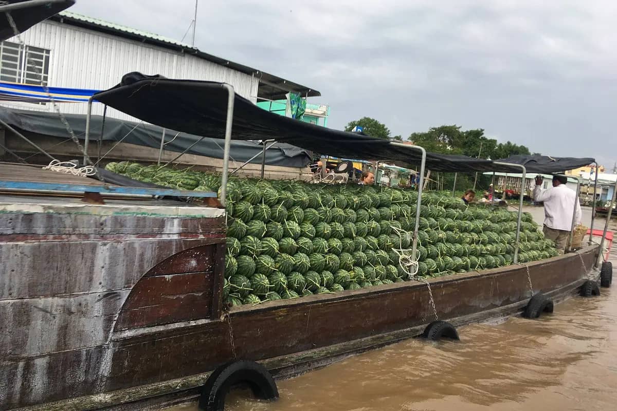A wholesale boat piled with watermelons at Cai Rang floating market