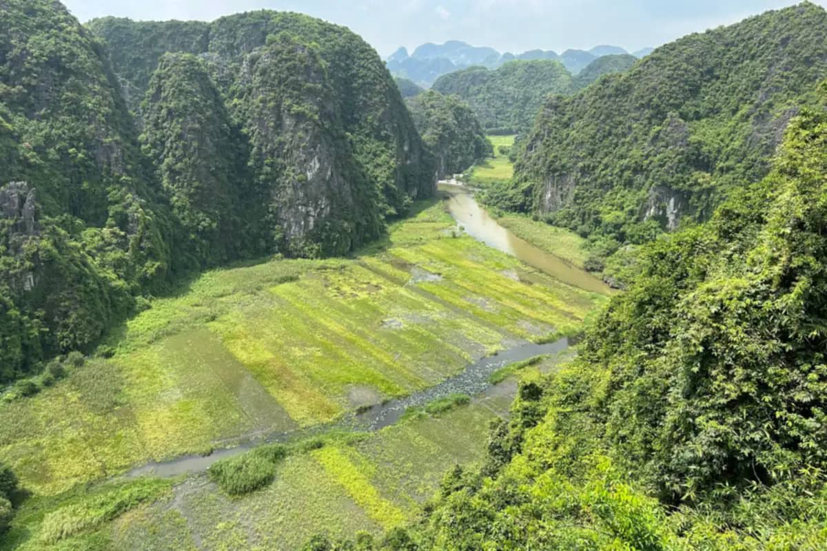 The view from the top of Hang Mua over the Ngo Dong river winding through the paddies of Tam Coc between karst hills