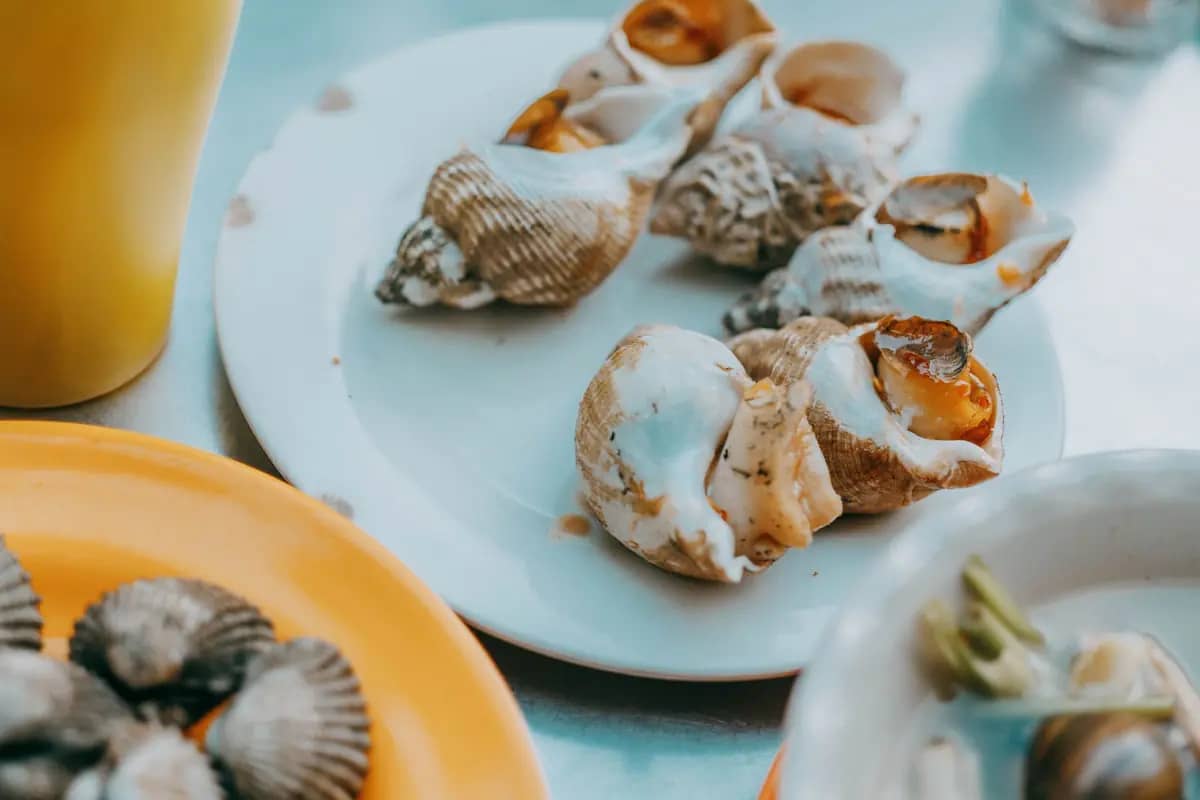Plates of cooked whelks and blood cockles on a seafood table