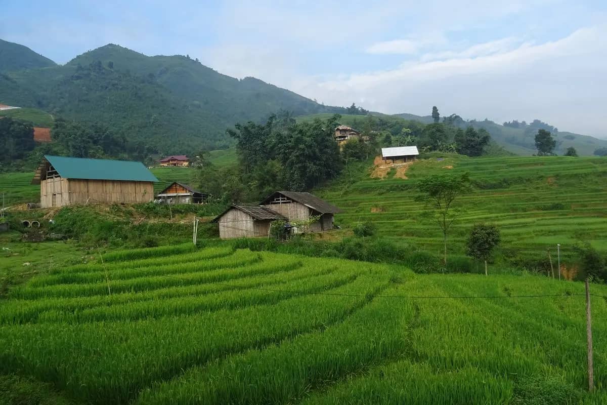 Wooden houses among green rice terraces at Ta Van in the Muong Hoa valley