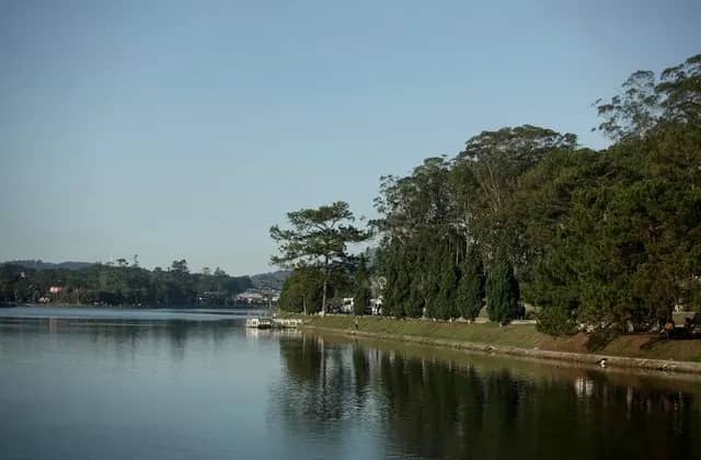 Pine and eucalyptus trees line the grassy shore of Xuan Huong Lake, reflected in the still water