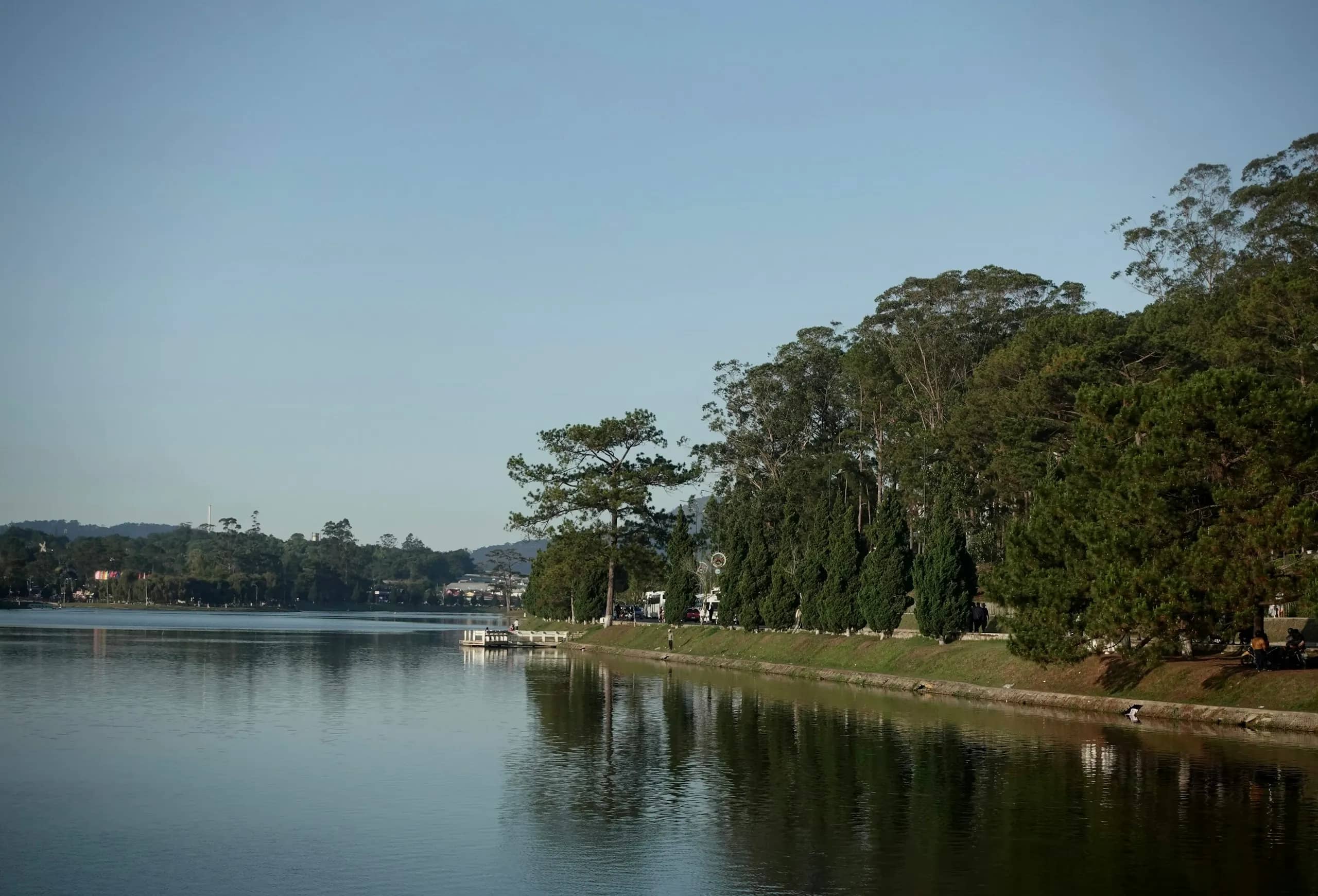 Pine and eucalyptus trees line the grassy shore of Xuan Huong Lake, reflected in the still water