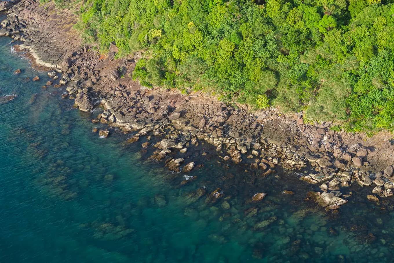 A rocky shore where the green forest meets the blue sea on Hon Thom