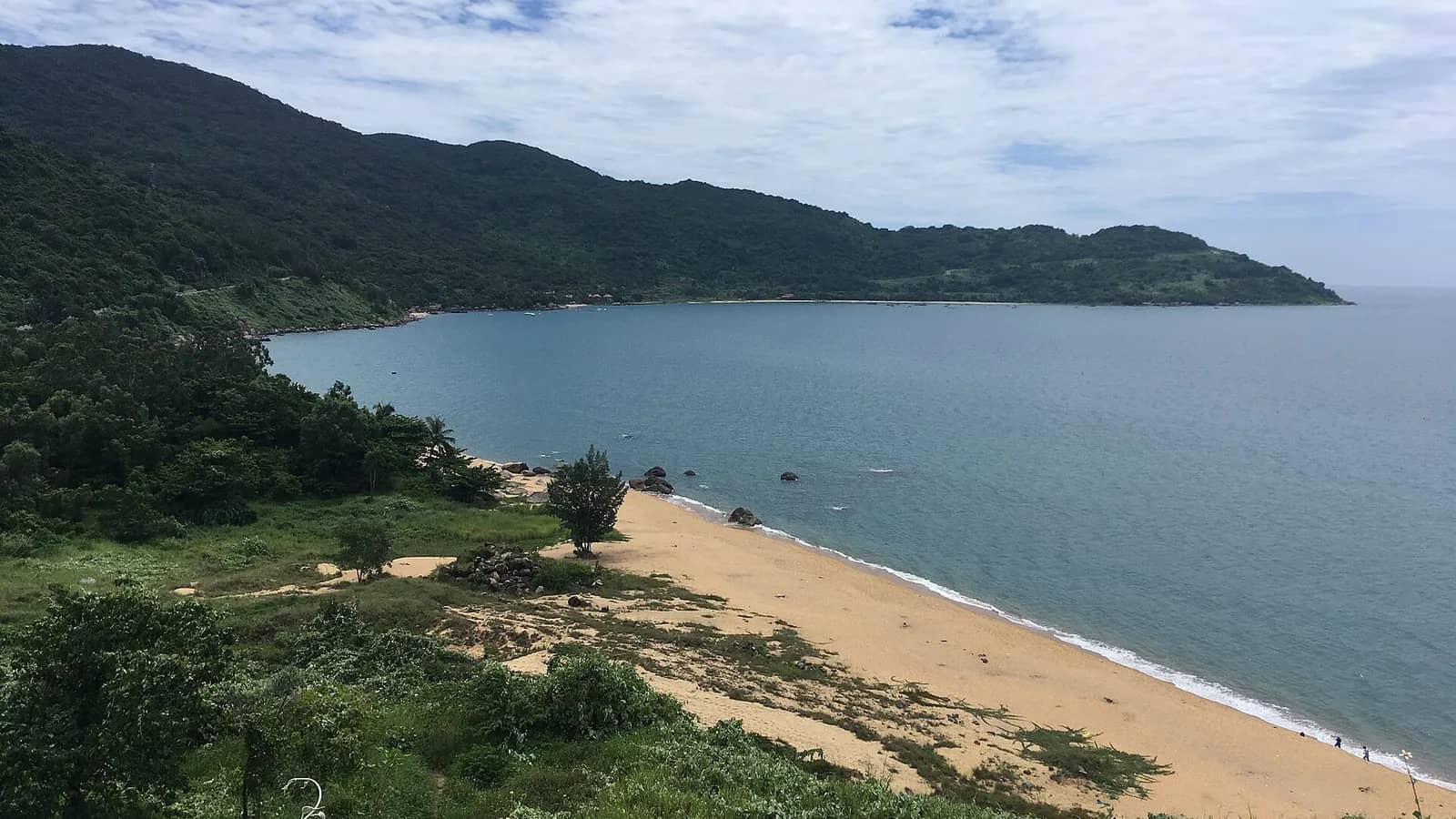 A curving bay with a strip of sand below forested hills on the Son Tra Peninsula, seen from the road near Linh Ung Pagoda
