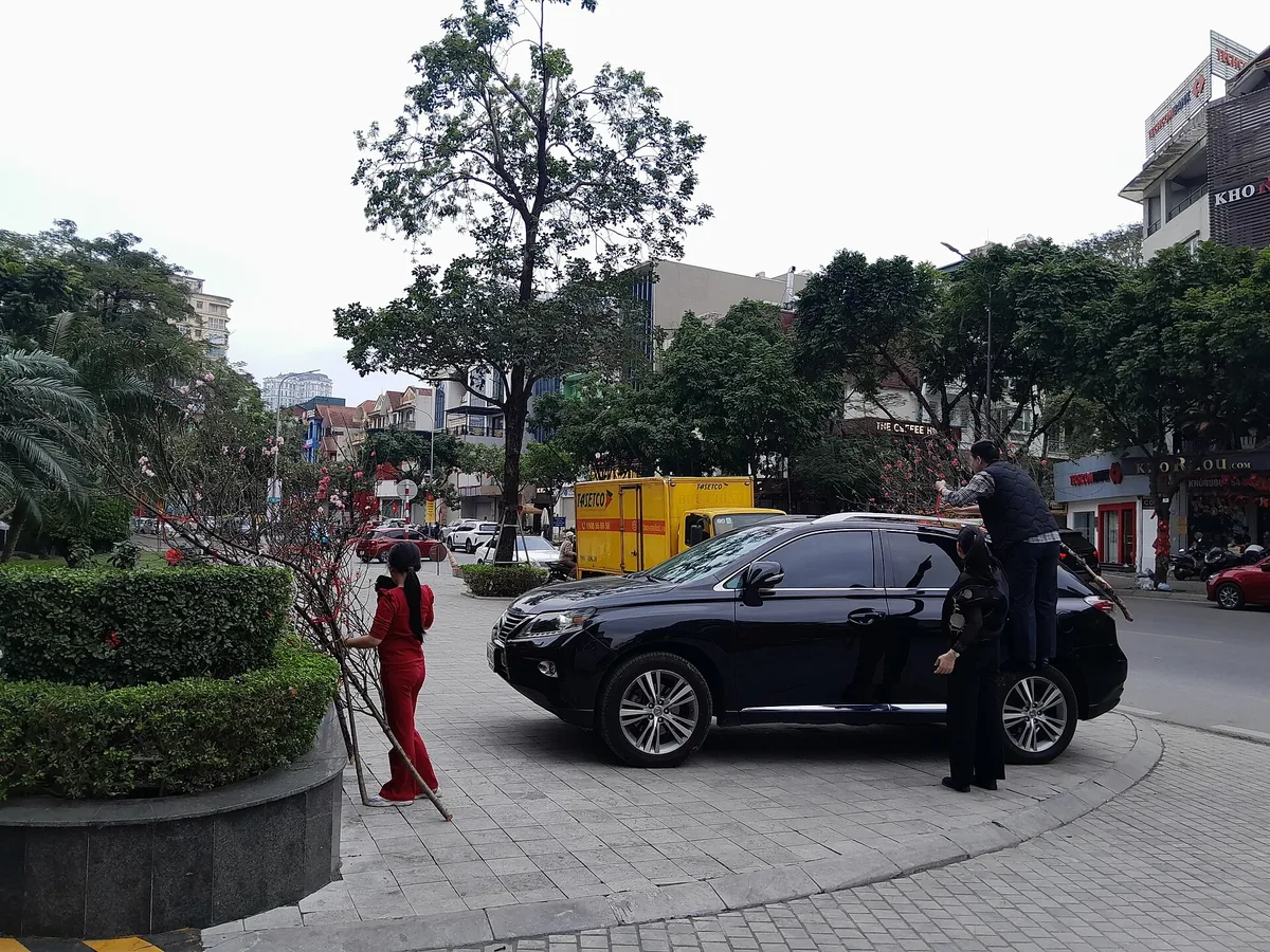 A woman in red holds a pink peach blossom branch on a Hanoi pavement while a man on a parked car's roof ties another branch down