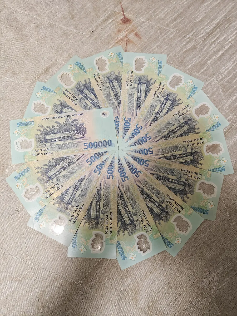 A ring of 500,000 dong polymer banknotes fanned out on a beige cloth, the green reverse side up