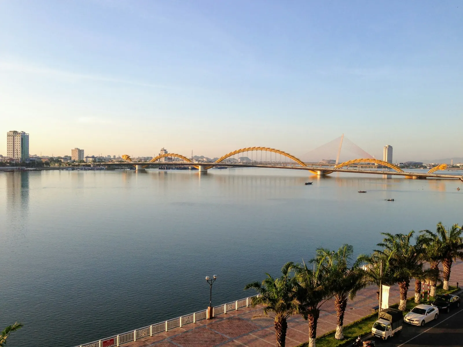 The Dragon Bridge over the Han River, palm trees and the skyline beside it
