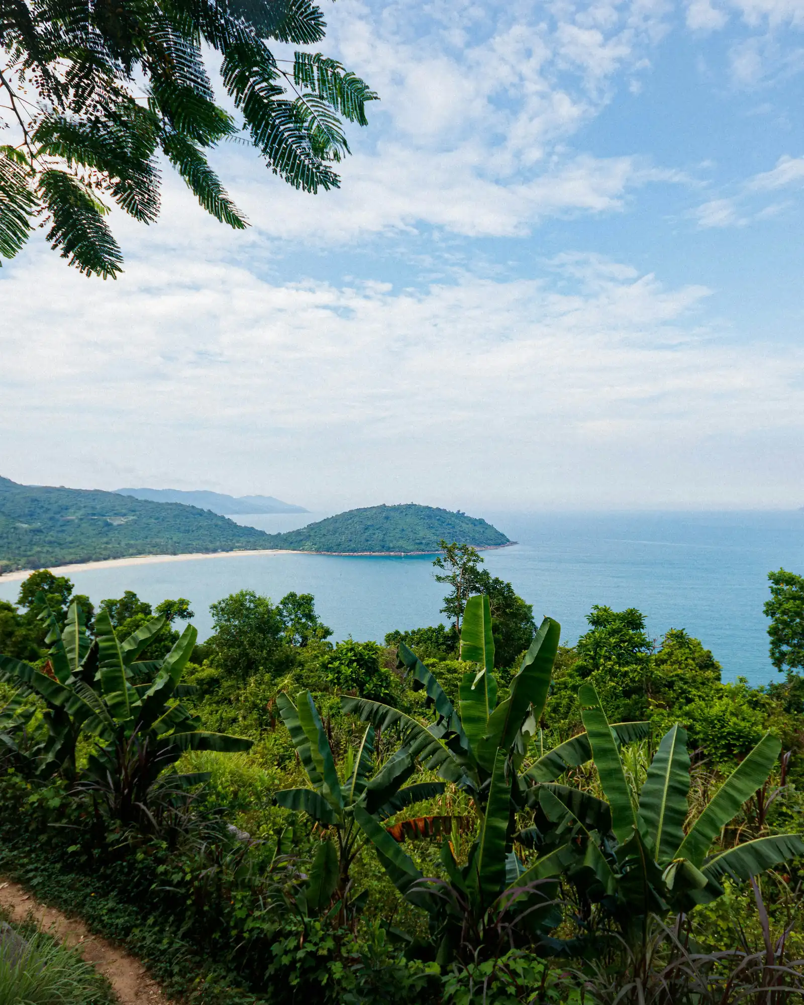 Green jungle above a calm bay near the Hai Van Pass