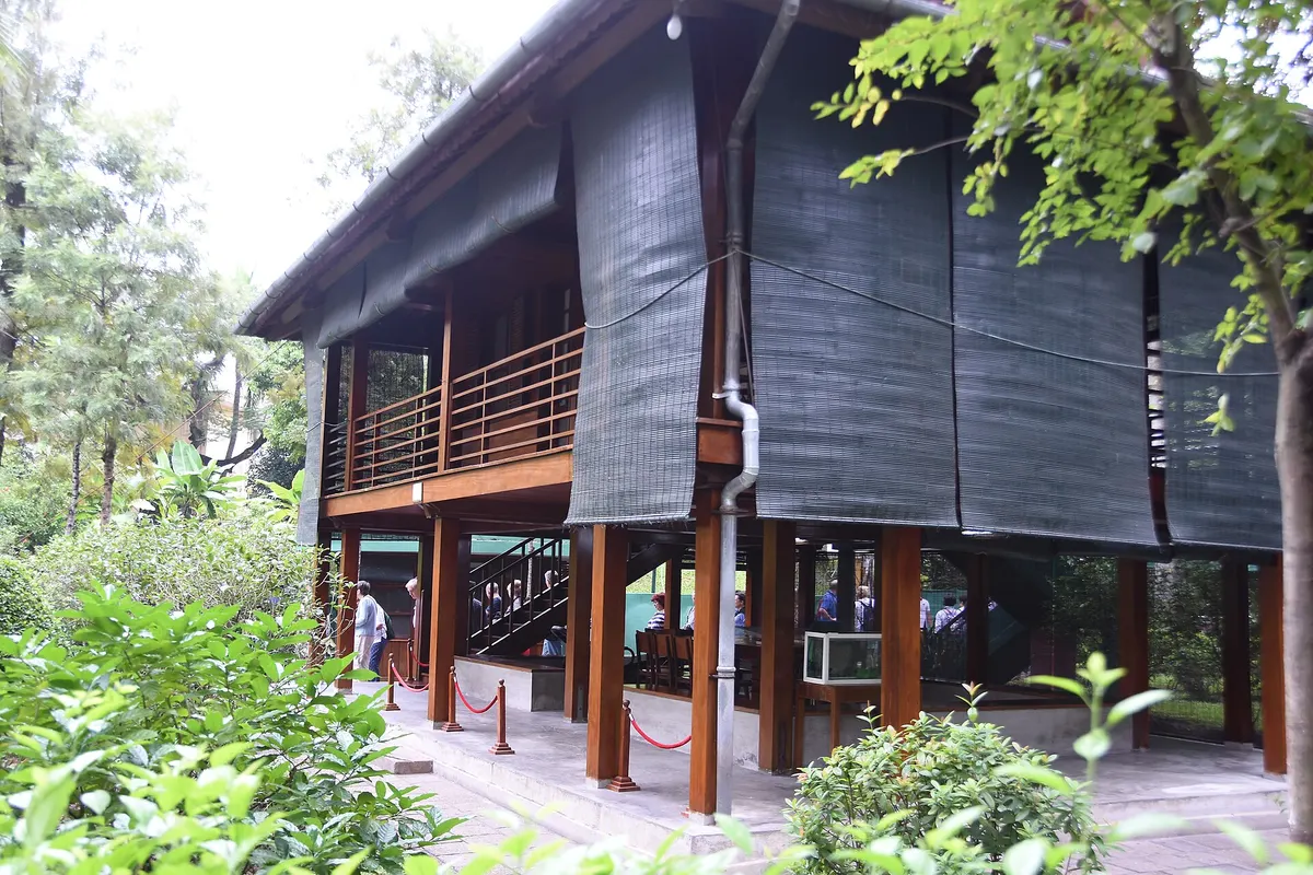 The dark green stilt house with rolled bamboo blinds, an open ground floor and a staircase, seen through trees