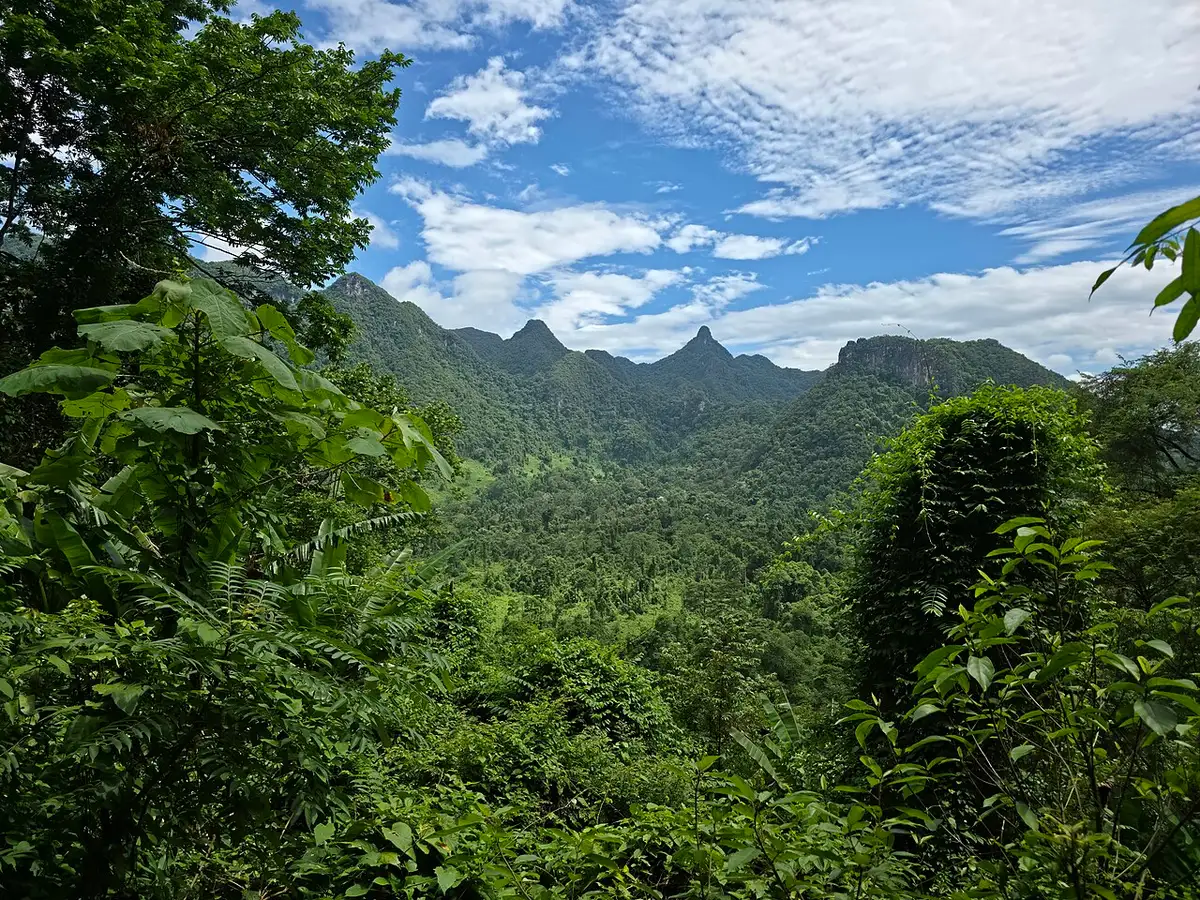 A forested valley and jagged limestone peaks under a blue sky, seen from the path up to Paradise Cave