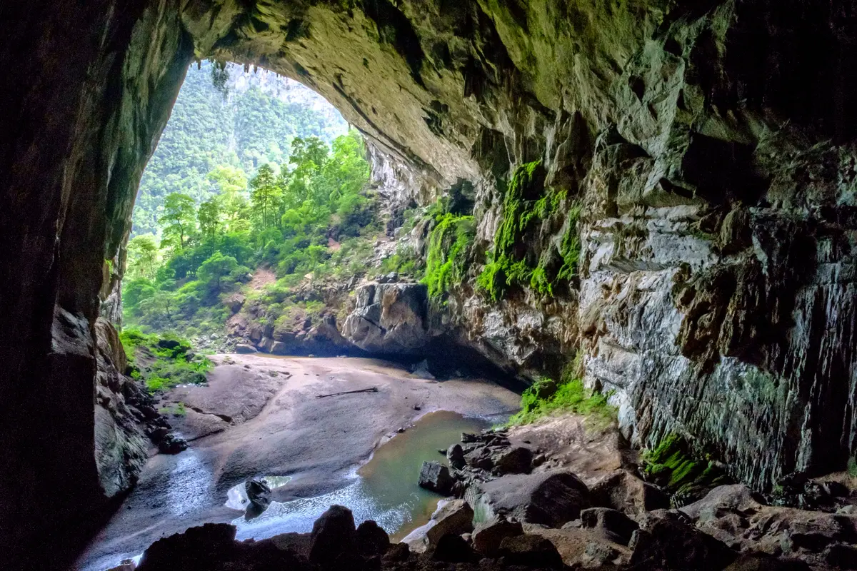 Looking out from inside Hang En through a wide cave mouth onto sand, boulders and green forest