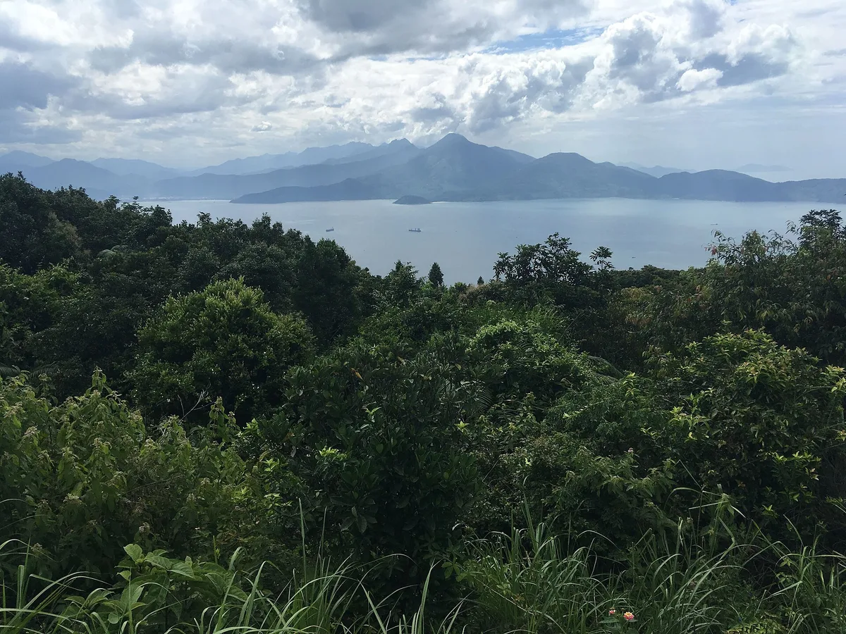 Forest on Son Tra in the foreground and, across the bay, the Hai Van mountains under cloud