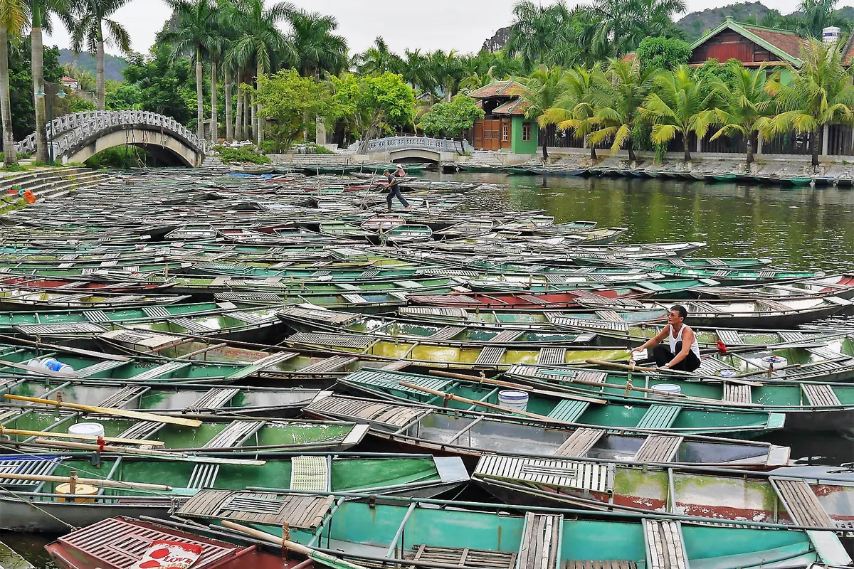 Hundreds of green rowing boats moored side by side at the Tam Coc boat landing, with an arched footbridge and palm trees behind